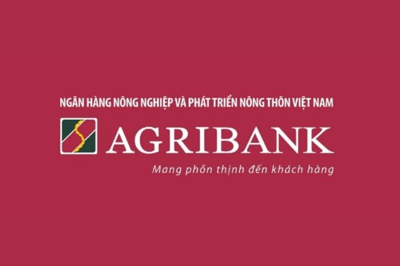 Tổng Quan Về Ngân Hàng Agribank