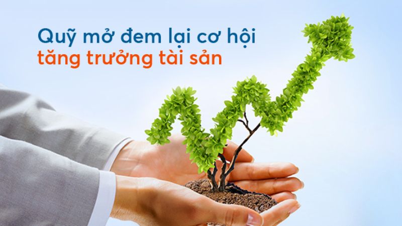 Các Quỹ Mở Ở Việt Nam: Cơ Hội Đầu Tư Tối Ưu và Hướng Dẫn Chi Tiết