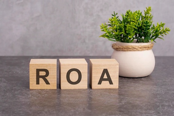 chi-so-roa