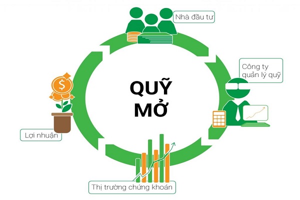 cach-hoat-dong-cua-quy-mo