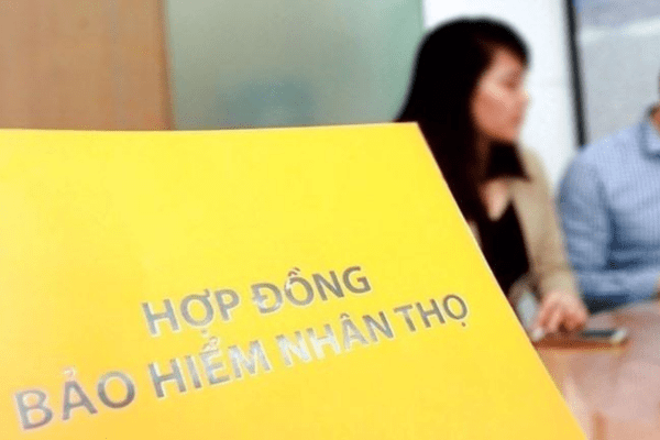 cac-loai-bao-hiem-nhan-tho-pho-bien-o-viet-nam-hien-nay