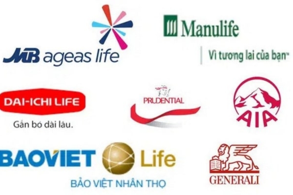 danh-sach-cac-cong-ty-bao-hiem-nhan-tho-uy-tin