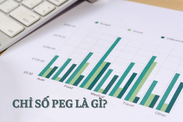 chi-so-peg-hieu-de-dau-tu-hieu-qua