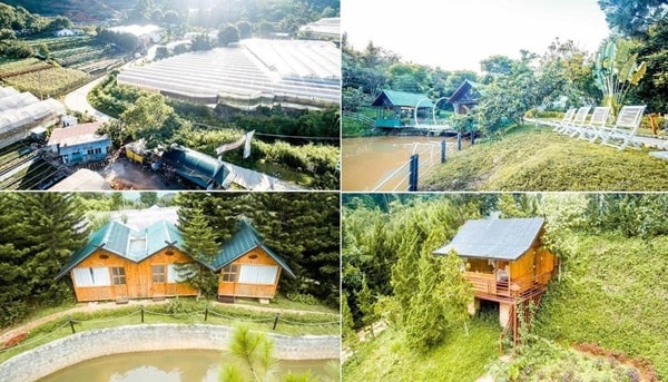Farmstay là gì? Đầu tư kinh doanh farmstay và những điều cần lưu ý
