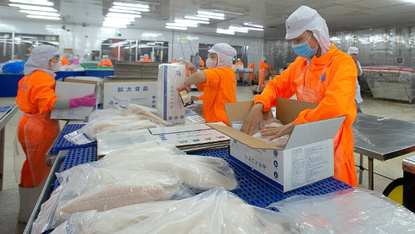 giu-vi-the-top-2-the-gioi--thuy-san-nam-viet--anv-ky-vong-lai-nam-nay-tang-gap-8-lan