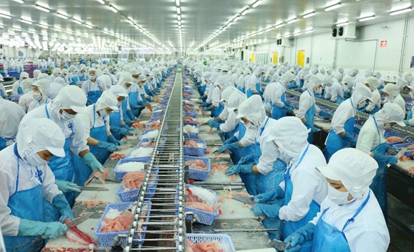 Doanh thu từ thị trường Mỹ của Vĩnh Hoàn (VHC) tăng 161% chỉ trong tháng 10/2024