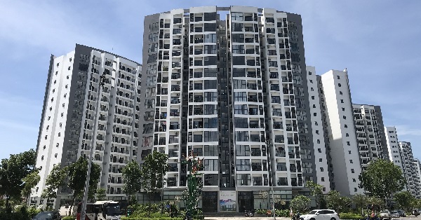Đón sóng KQKD quý IV/2024, Agriseco dự báo 5 nhóm ngành tiềm năng tăng trưởng lợi nhuận đến 160%