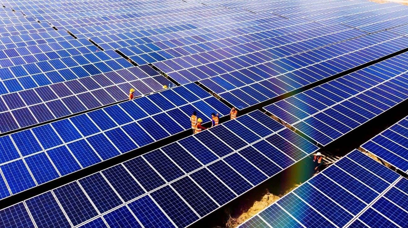 BCG: Bamboo Capital báo lãi 845 tỷ đồng trong năm 2024, tăng trưởng 394%