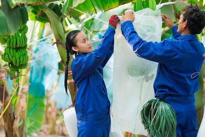 HNG: Tiếp tục ‘chỉ còn xương’ như lời bầu Đức: 4 năm liền lỗ khủng nâng lỗ lũy kế gần 10.000 tỷ đồng