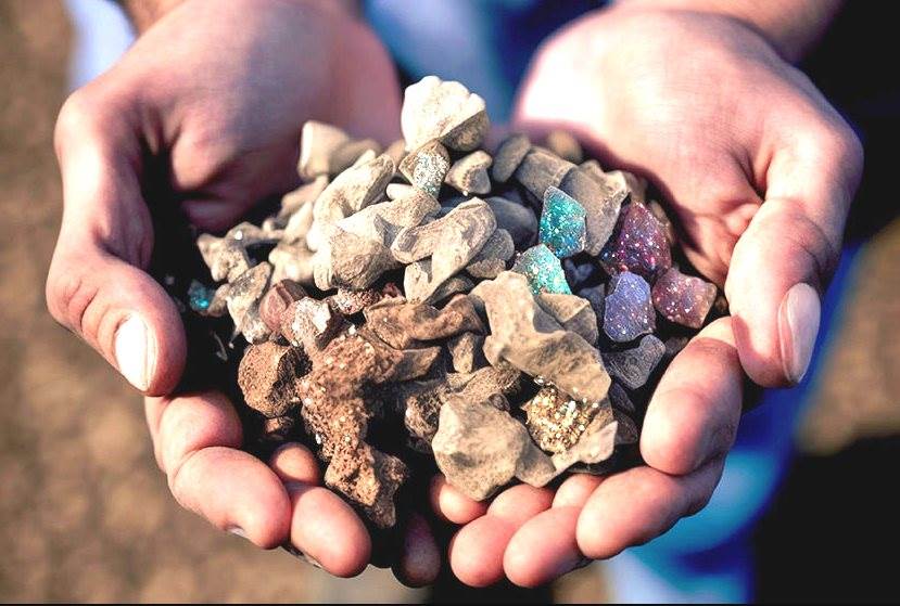 KSV: Vừa làm một điều đặc biệt trên sàn chứng khoán