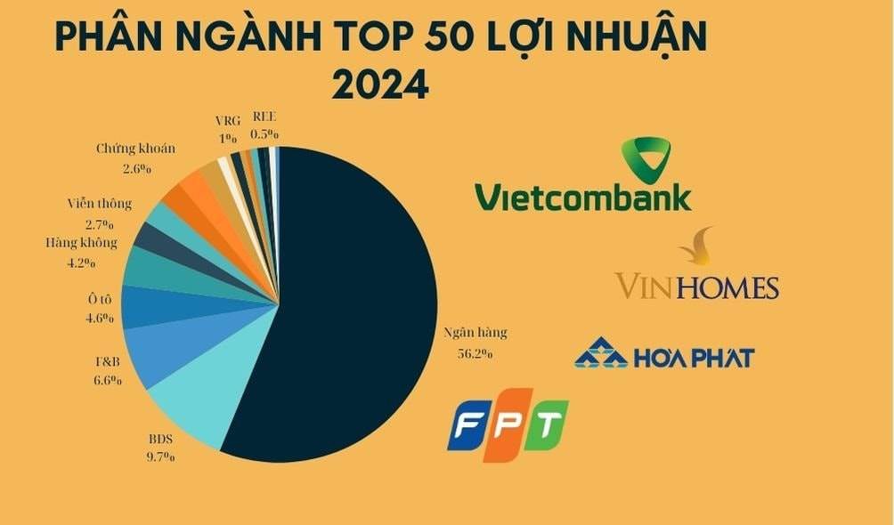 Top 50 lợi nhuận 2024 vẫn là cuộc áp đảo của ngân hàng và BĐS, BSR, KBC, HAG, NVL ‘biến mất’ trong khi 2 công ty họ GELEX trỗi dậy
