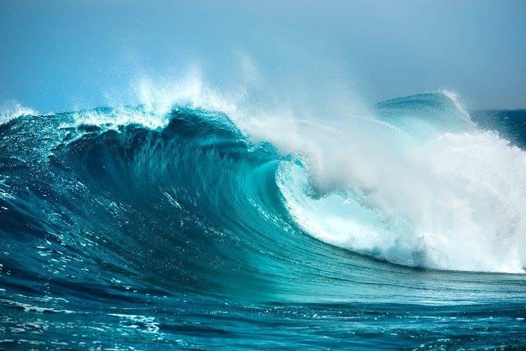 Chuyên gia chỉ ra dấu hiệu quan trọng nhận biết “sóng” tăng giá của thị trường chứng khoán