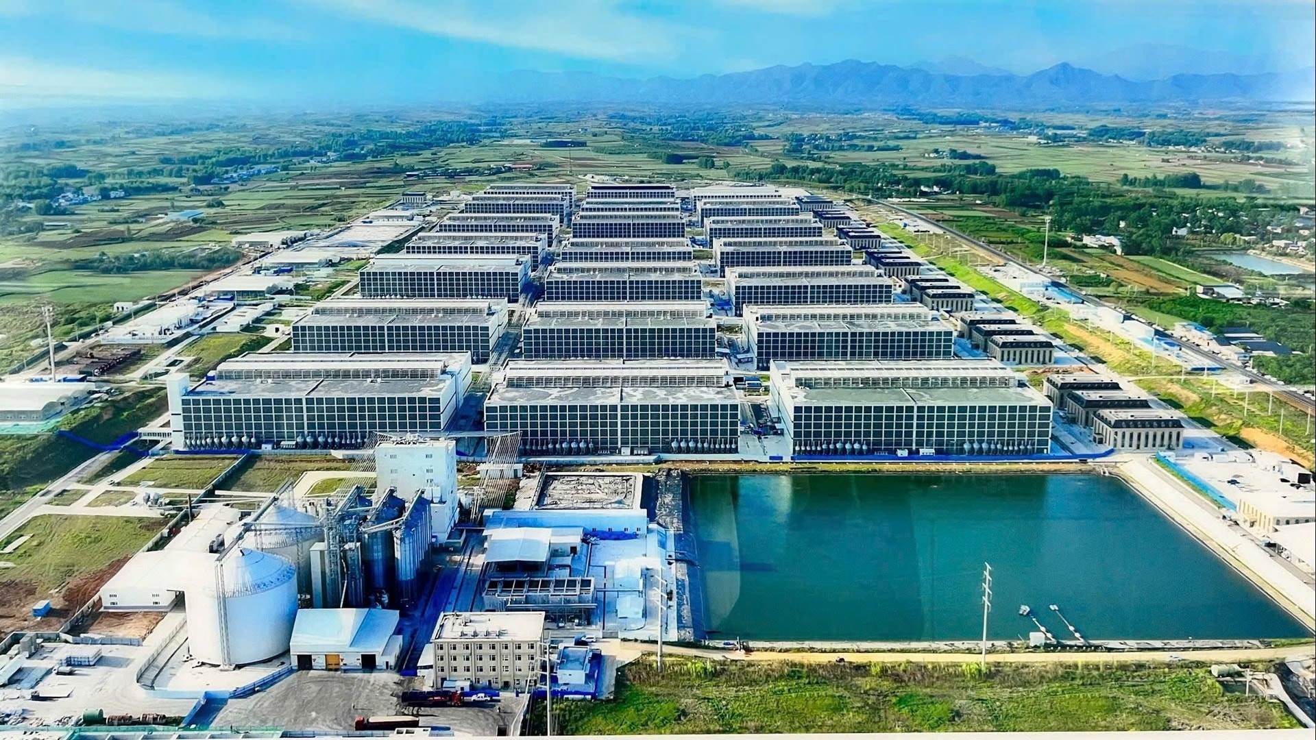 BAF: Nói về “chung cư nuôi heo” đầu tiên tại Việt Nam: Để tạo ra 100.000 heo/năm chỉ cần 95 nhân công, diện tích đát 6,7ha – tiết kiệm được 10 lần