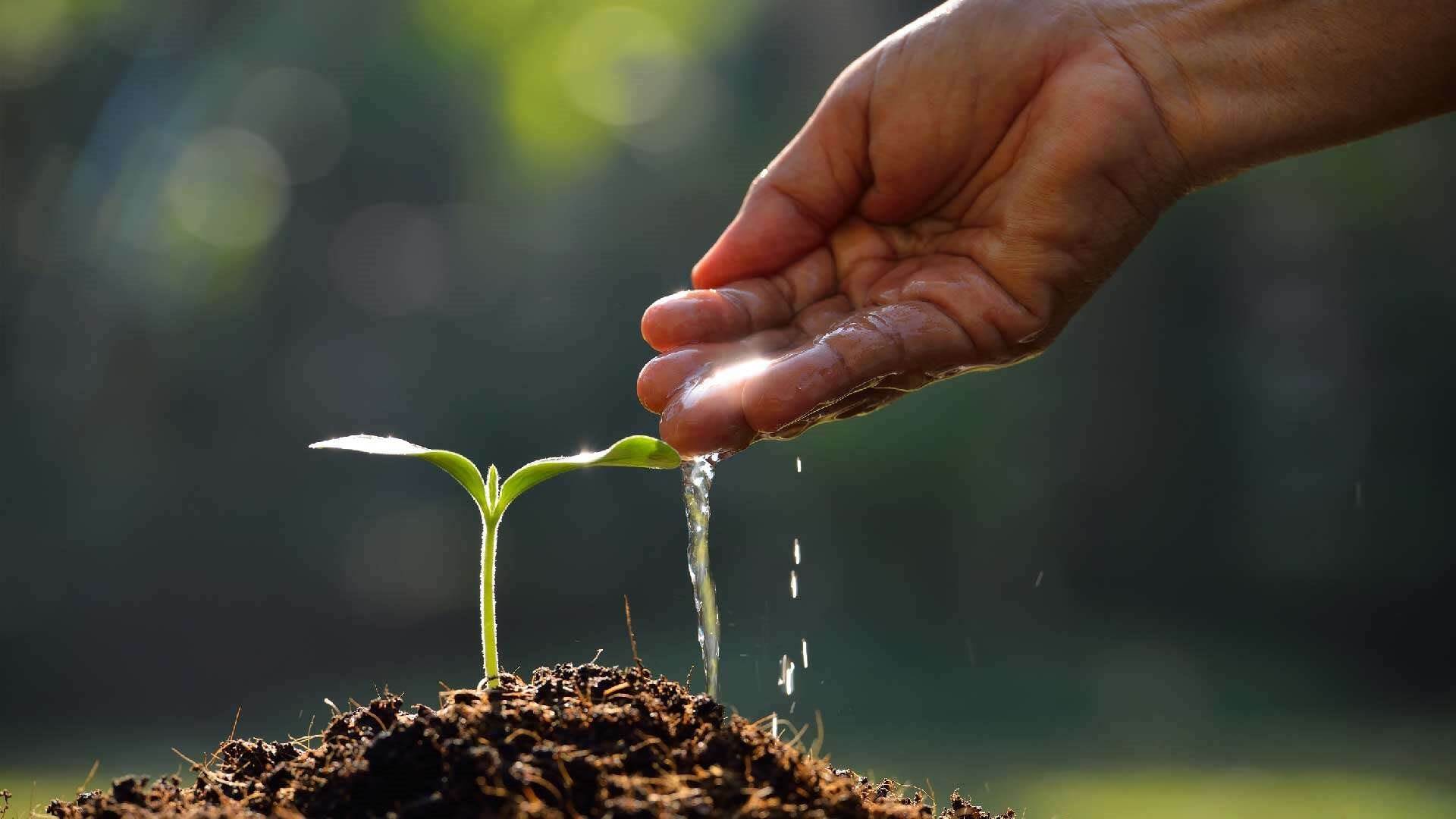 “Mỏ vàng” lộ diện trên sàn chứng khoán: Những DN tăng công suất đón chu kỳ tăng trưởng