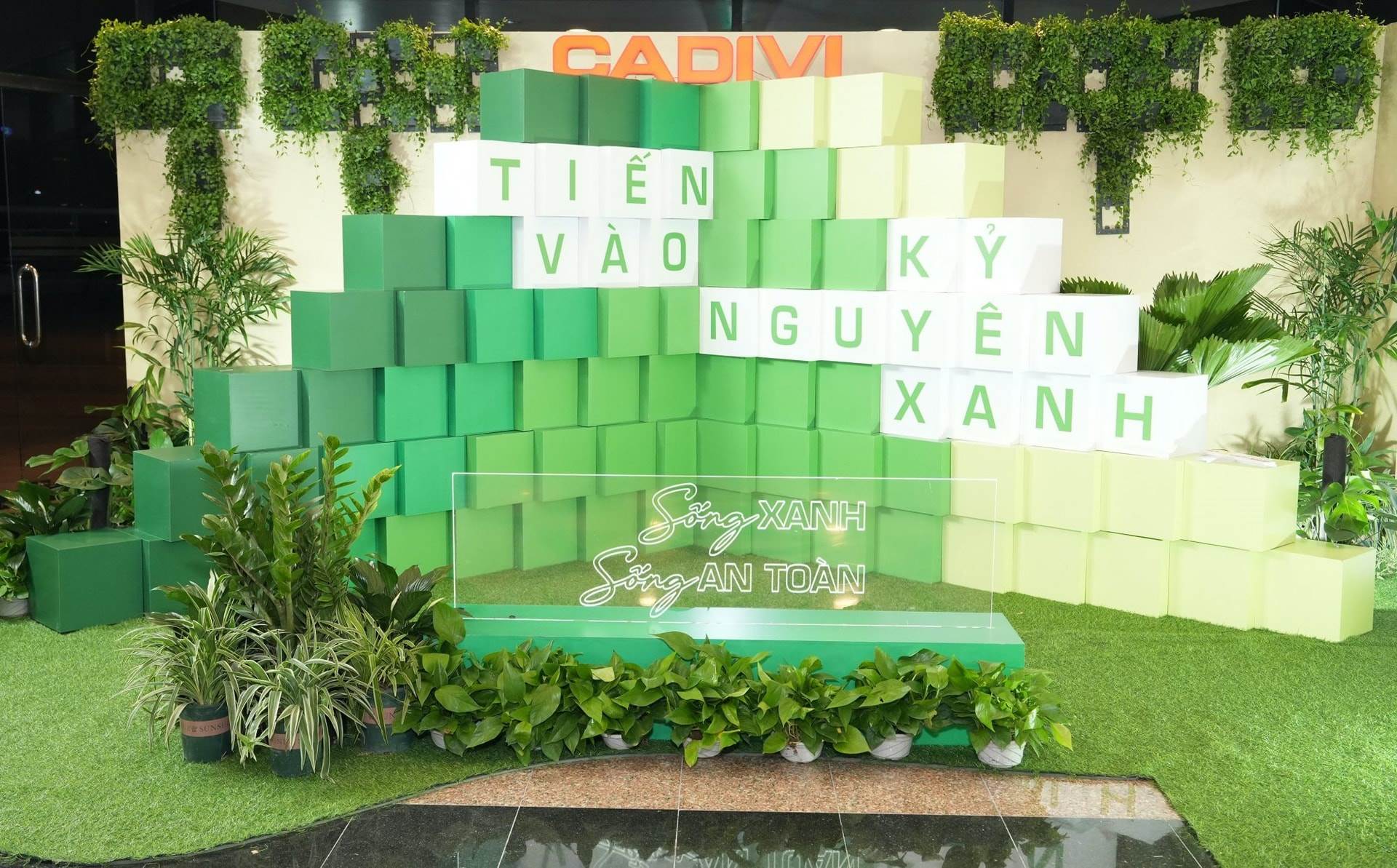 CAV: Chốt kế hoạch lợi nhuận 2025 tăng gấp đôi lên 1.271 tỷ, ra mắt 2 dòng sản phẩm dây điện Không chì và Chậm cháy