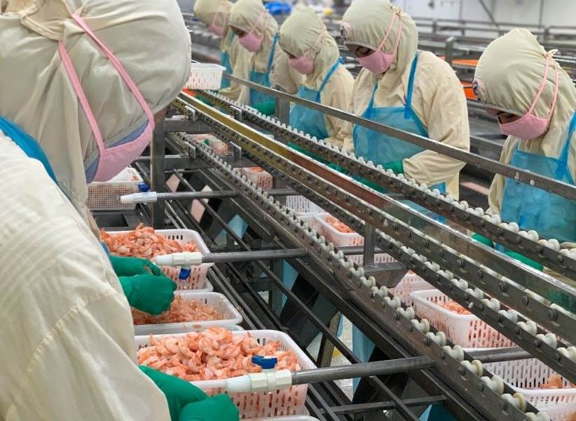 STAPIMEX thu về vài trăm triệu USD, giá trị sổ sách 430.000 đồng/cp, EPS 70.000 đồng, nhiều năm liền cổ tức 100%