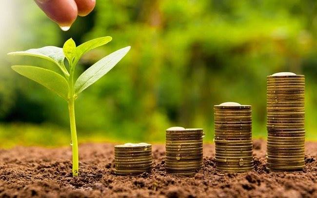 Lịch chốt quyền cổ tức tuần 14-18/4: Một doanh nghiệp chi hơn 700 tỷ đồng trả cổ tức