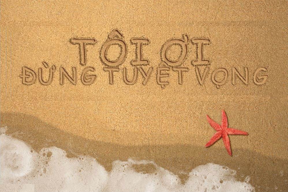 Tại sao cổ phiếu SZC vẫn giảm khi báo lãi ròng quý 1/2025 tăng 106%, ký mới 3 MOU gần 10ha