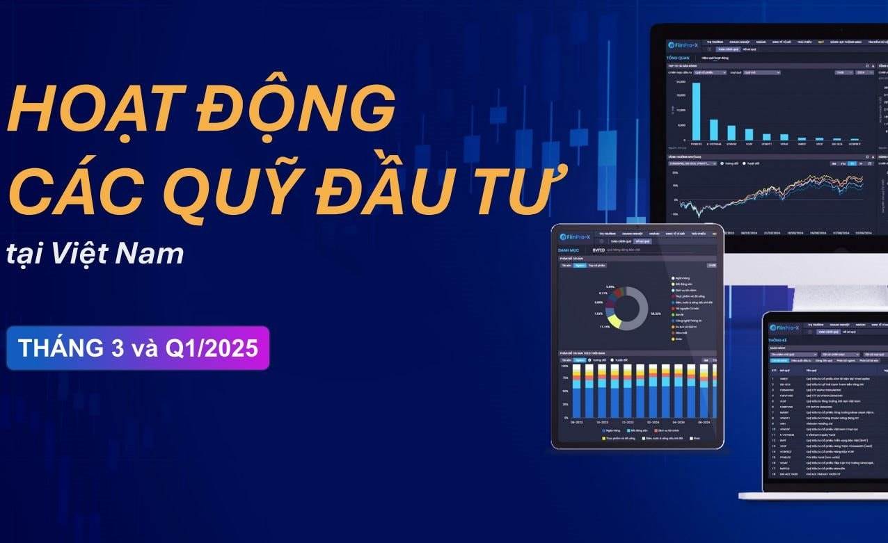 Biến động dòng tiền của các quỹ đầu tư: VIB đứng đầu top mua ròng trong khi FPT bị nhiều quỹ xả nhất