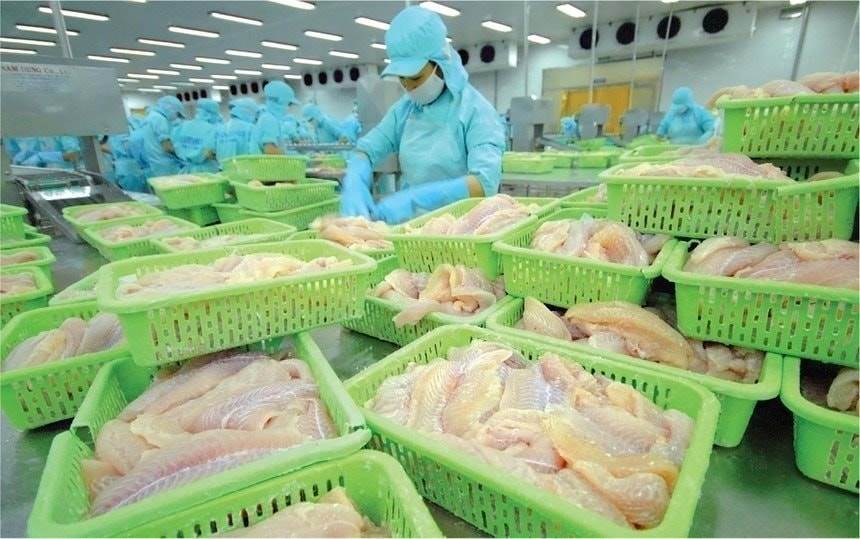 ANV: Con trai TGĐ công ty xuất khẩu thủy sản top đầu Việt Nam tiếp tục bị bán giải chấp 1,64 triệu cổ phiếu