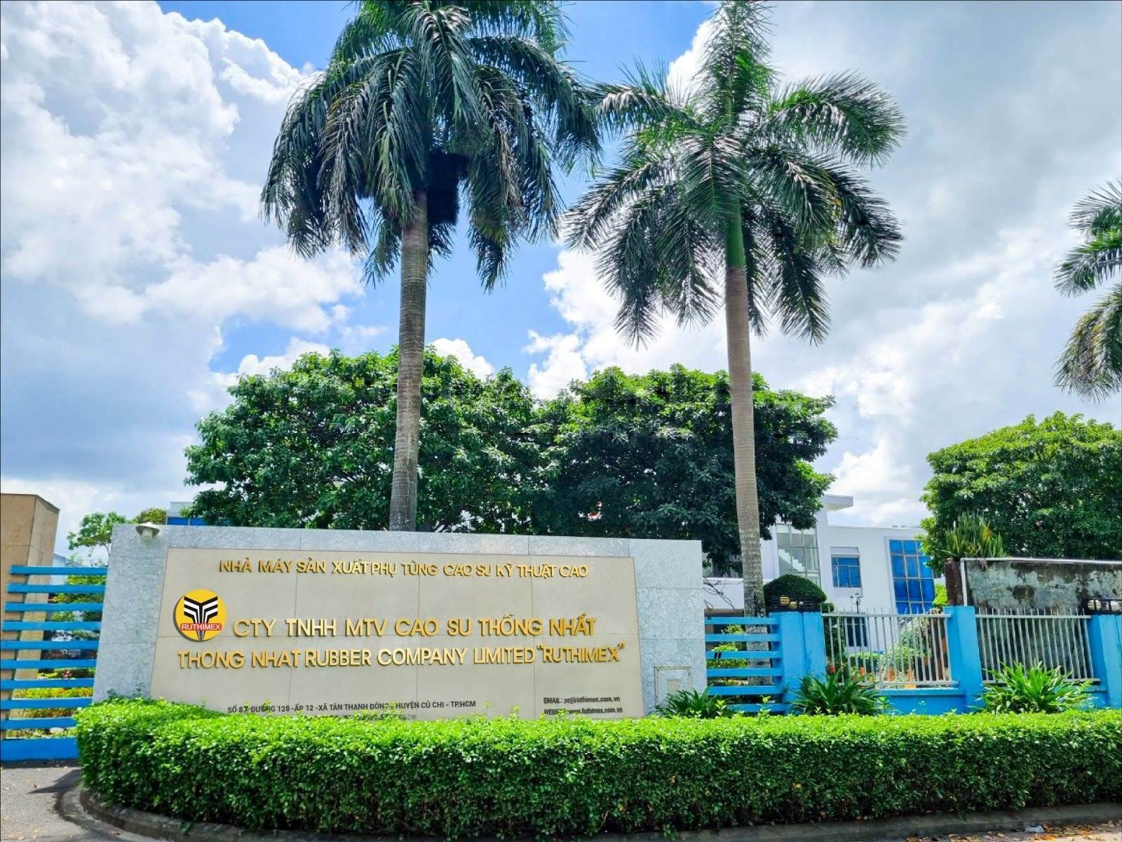 TNC: Báo lãi quý I/2025 tăng 95% nhờ bán chuối