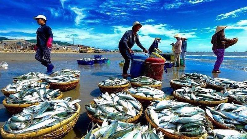 Cổ phiếu thủy sản, dệt may tiếp tục tăng “bốc đầu” sau tín hiệu tích cực từ Tổng thống Mỹ Donald Trump