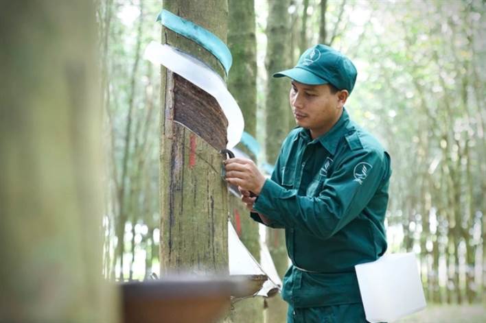 DONARUCO: Hành trình 50 năm kiến tạo tương lai bền vững