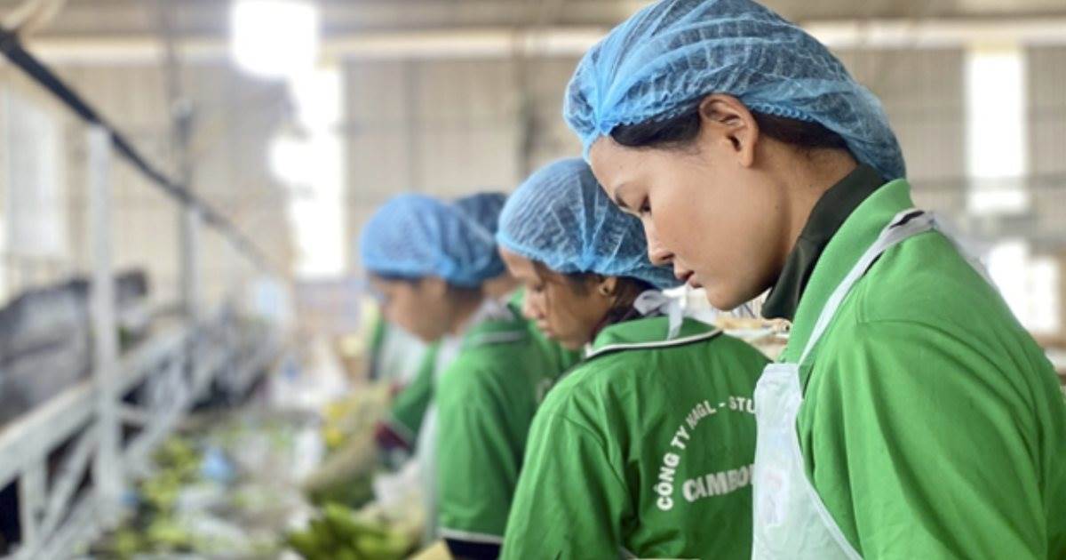 Lời than của bầu Đức “Tìm sếp nông trường còn khó hơn sếp ngân hàng” hé lộ “cơn khát” nhân tài nông nghiệp