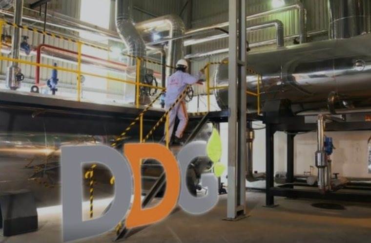 DDG: Bị xử phạt nặng vì thông tin sai lệch, không đầy đủ, “ém” thông tin