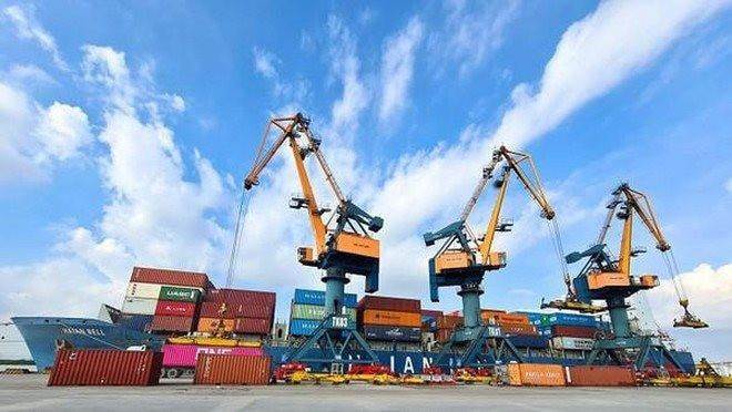 HAH: Sản lượng khai thác quý 2 tăng trên 20%
