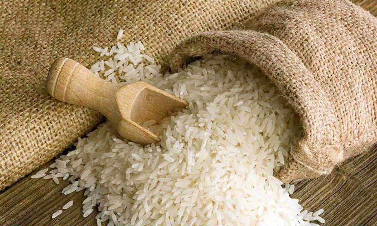 LTG: Lộc Trời tháp tùng Thủ tướng ‘mở cánh cửa’ cho gạo Việt ở đất nước 210 triệu dân