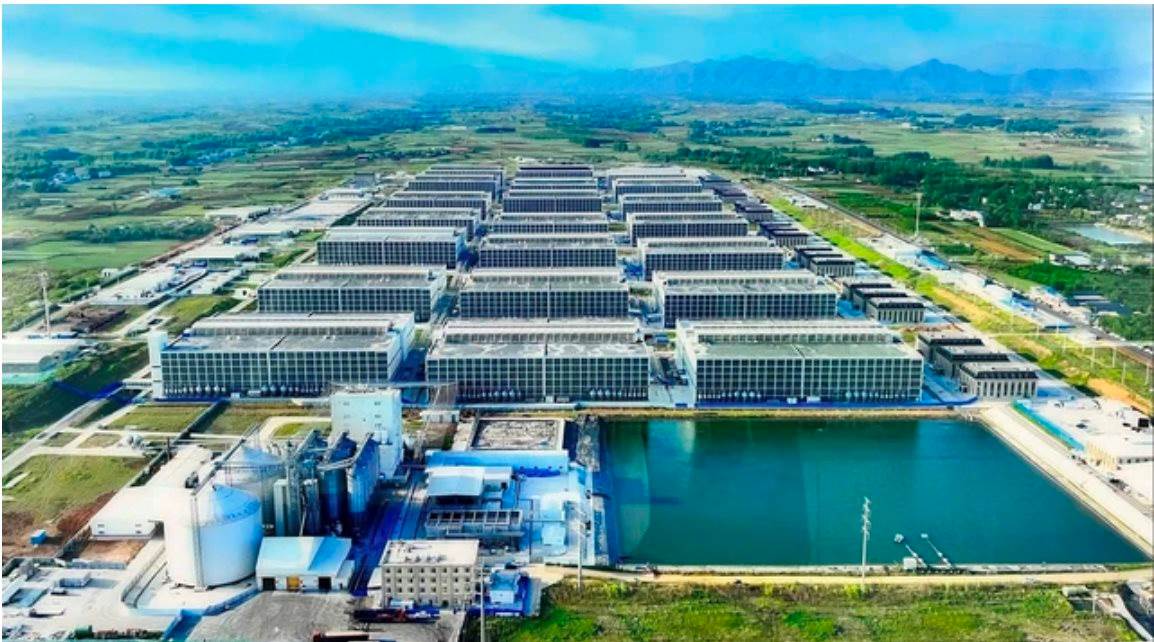 Tỉnh Tây Ninh “gật đầu” cho BAF triển khai “chung cư nuôi heo” đầu tiên Việt Nam: Tạo 100.000 heo/năm chỉ cần 95 nhân công, diện tích đất 6,7ha – tiết kiệm được 10 lần