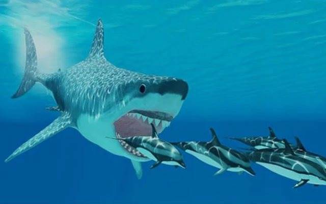 P-Notes – dòng tiền đang ồ ạt gom hàng nghìn tỷ đồng cổ phiếu Việt Nam?