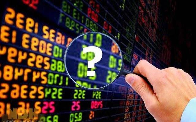 “Đón sóng” kết quả kinh doanh nửa cuối năm, nhóm cổ phiếu nào kỳ vọng thu hút dòng tiền?
