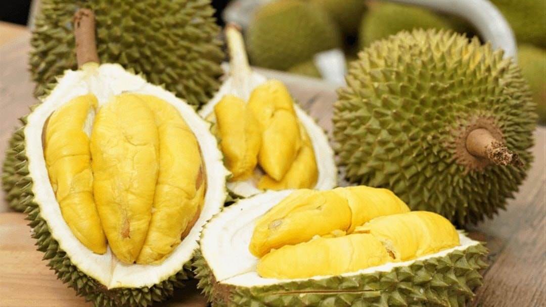 Tỷ phú Trần Bá Dương chính thức thu hoạch sầu riêng Monthong, 25-30 tấn lên kệ EMart
