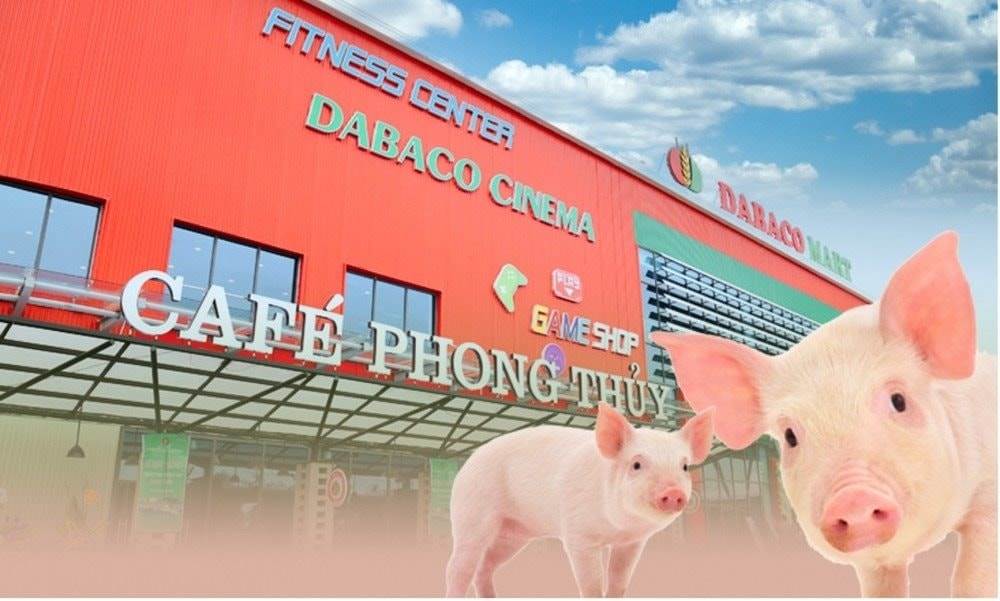 DBC: Vaccine bảo hộ hiệu quả giữa bão dịch tả lợn, Dabaco báo lãi quý 2 tăng trưởng 250%