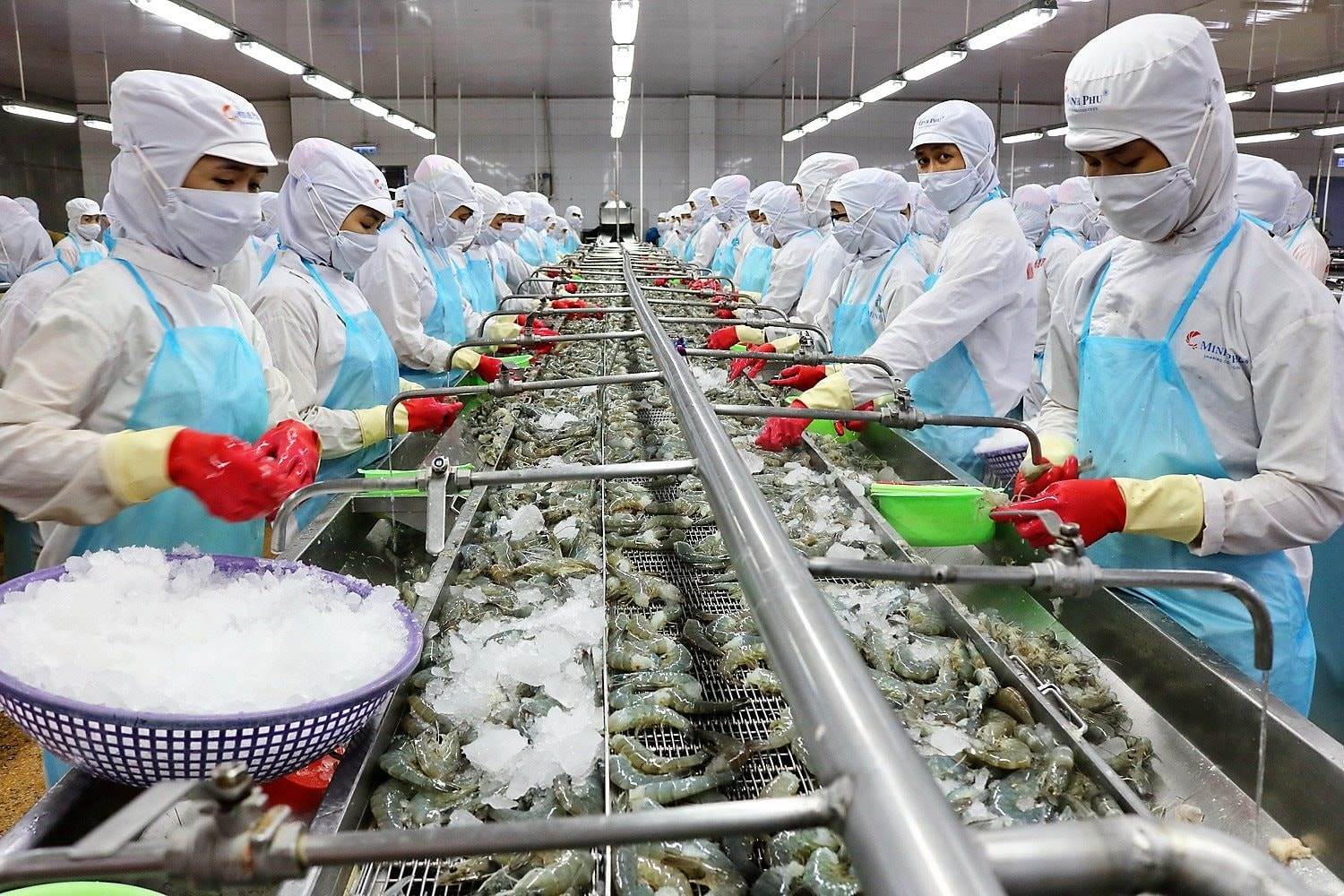 MPC: “Vua tôm” báo lãi quý 2/2025 tăng 300%, cao nhất trong vòng 10 quý