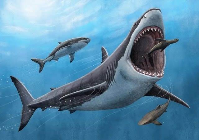 PET: Petrosetco lộ diện cổ đông lớn sau phiên thoả thuận khủng, loạt lãnh đạo đăng ký thoái sạch vốn