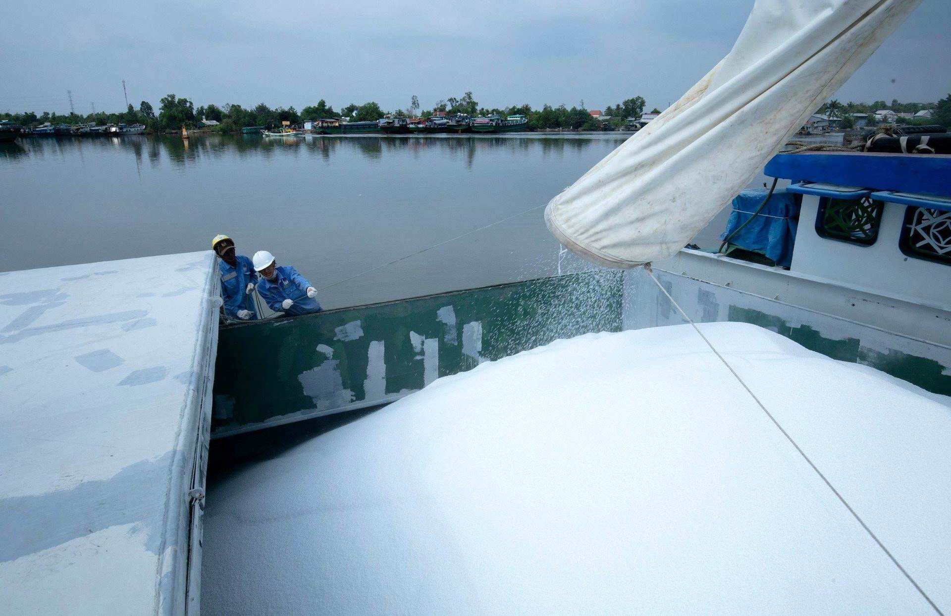 DCM: Tiền mặt ngập két, lợi nhuận tăng sốc, DN bán mặt hàng quan trọng của nền kinh tế bứt phá chưa từng có