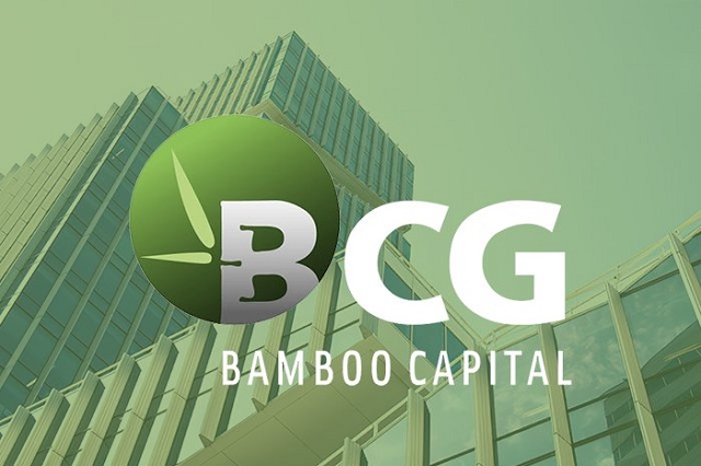 cổ phiếu bcg