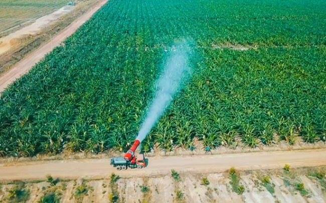 Thaco Agri của tỷ phú Trần Bá Dương có tổng tài sản tăng vọt lên hơn 67.000 tỷ đồng, vượt Becamex, gấp 3 lần HAGL