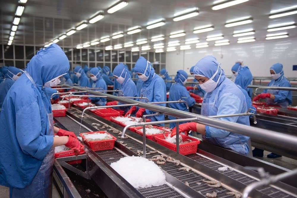 FMC: “Đại gia” tôm báo doanh thu tháng 8 tăng 32%, cao nhất kể từ đầu năm, cẩn thận trích lập gần 100 tỷ cho 3 loại thuế mới tại thị trường Mỹ