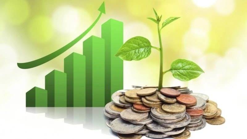 Lịch chốt quyền cổ tức 15/9-19/9: Cổ tức tiền mặt cao nhất 100%