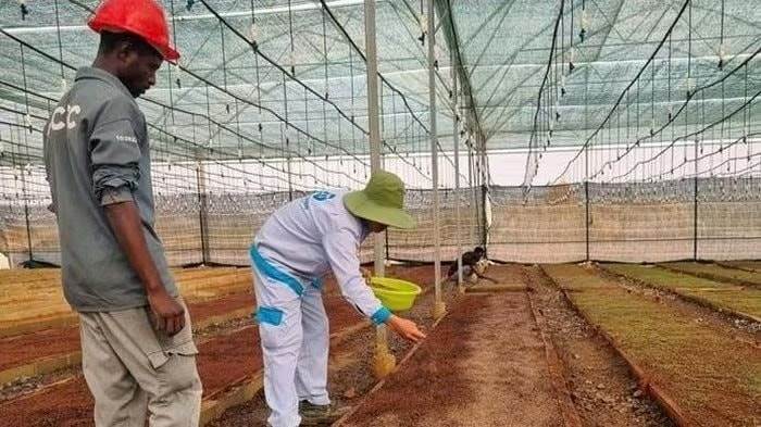 Hành động mới của “Bầu” Thiện tại châu Phi