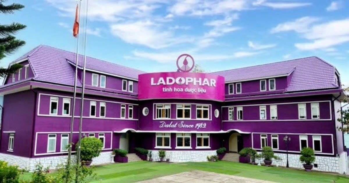 LDP: Nữ Tổng giám đốc 1 công ty trên sàn chứng khoán bất ngờ bị sa thải, khởi kiện đòi bồi thường 2 tỷ đồng, toà xử sao?