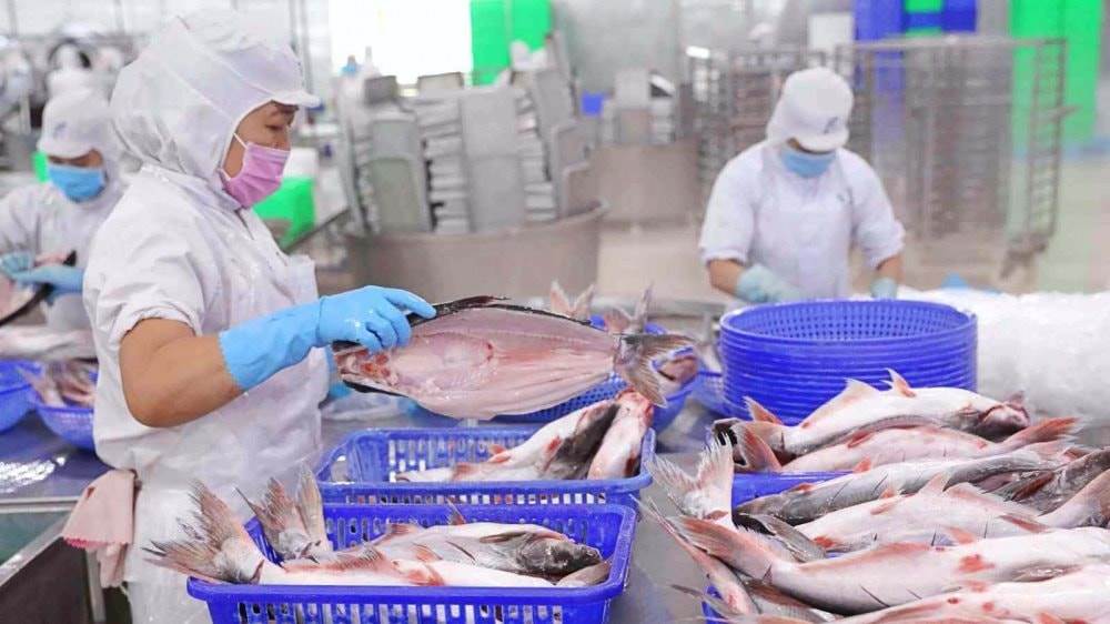 VHC: Quý 3/2025: “Nữ hoàng” cá tra Vĩnh Hoàn báo lãi tăng vọt 35%, “thoái” hơn trăm tỷ loạt cổ phiếu bất động sản