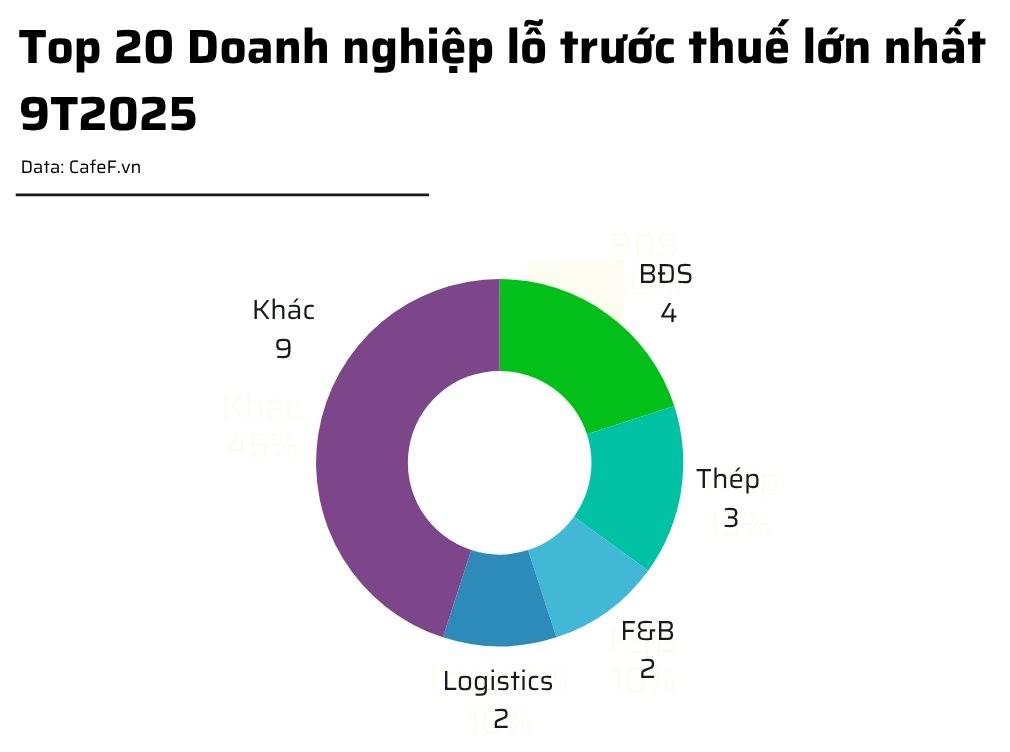 20 doanh nghiệp lỗ lớn nhất 9T2025: Novaland đầu bảng, ngành bất động sản áp đảo, 14 doanh nghiệp lỗ trăm tỷ