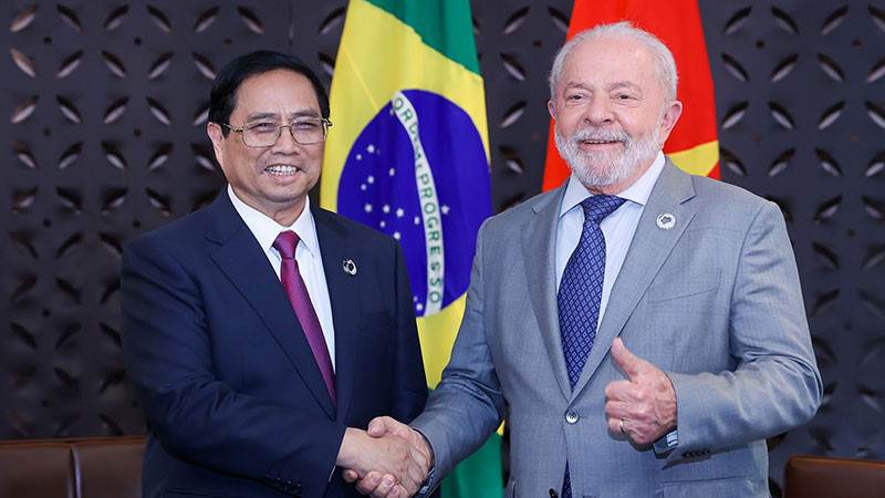 Đơn hàng 700 tấn cá rô phi Việt Nam lần đầu vào Brazil: Ai đứng sau?