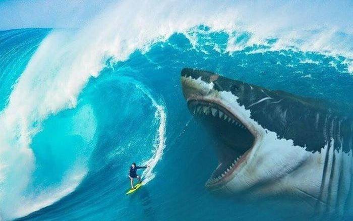 Chuyên gia: Đây là thời điểm chuẩn bị đón “sóng” năm 2026, 3 nhóm cổ phiếu sẽ hút tiền mạnh