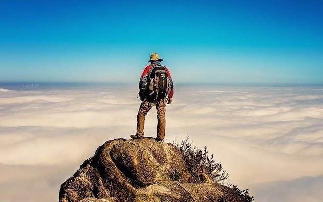 BMP: Được dự báo lợi nhuận 2026 lập đỉnh mới, cổ tức có thể đạt 17.000 đồng/cp